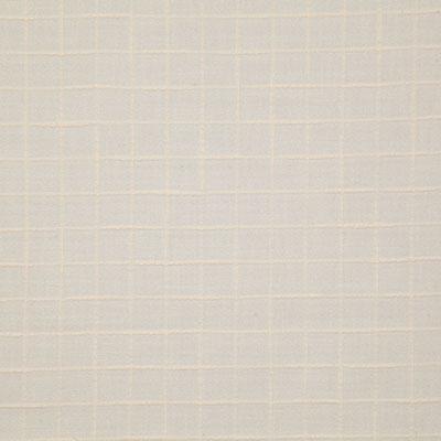 Pindler NELSON SNOW Fabric