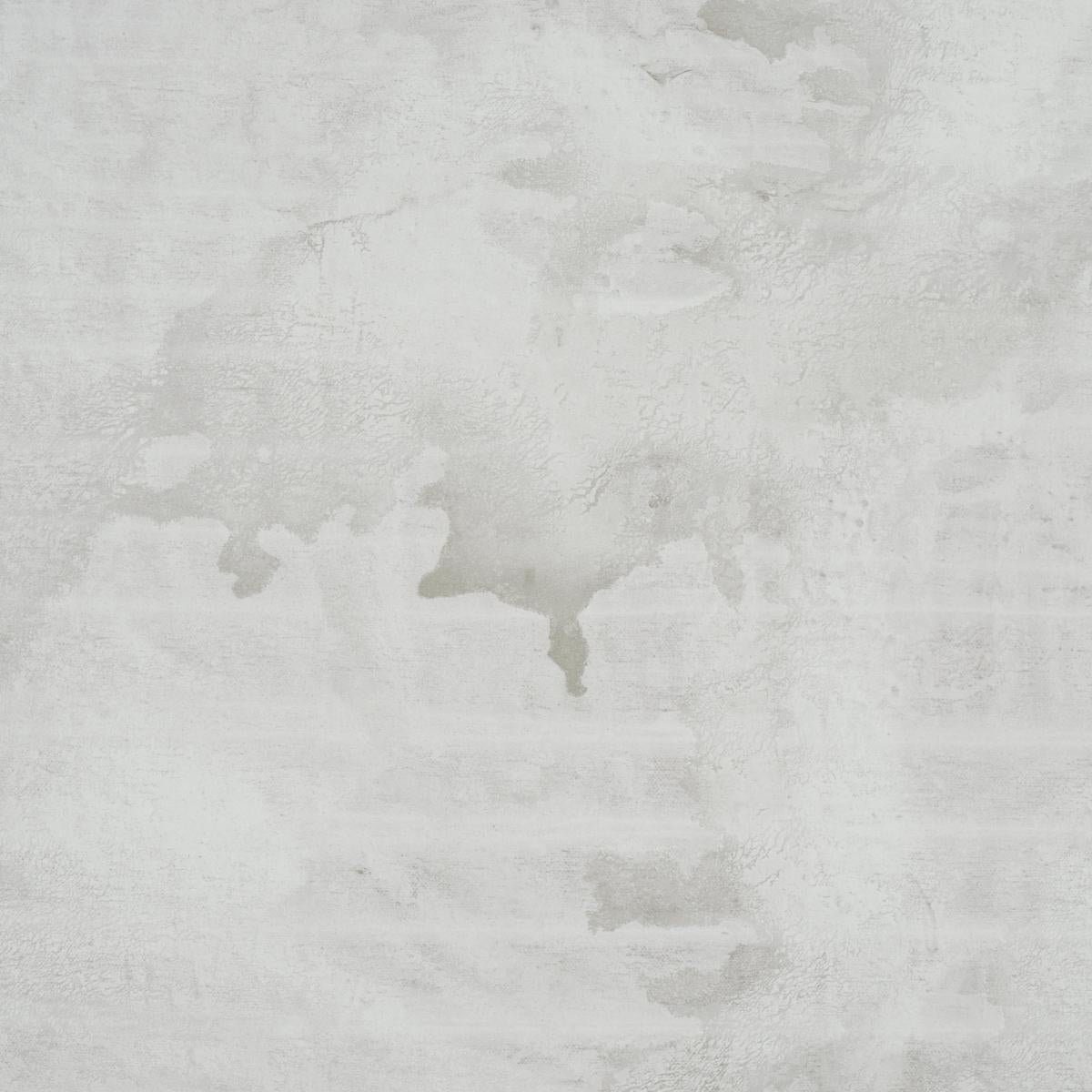 Schumacher Valiant Dove Wallpaper