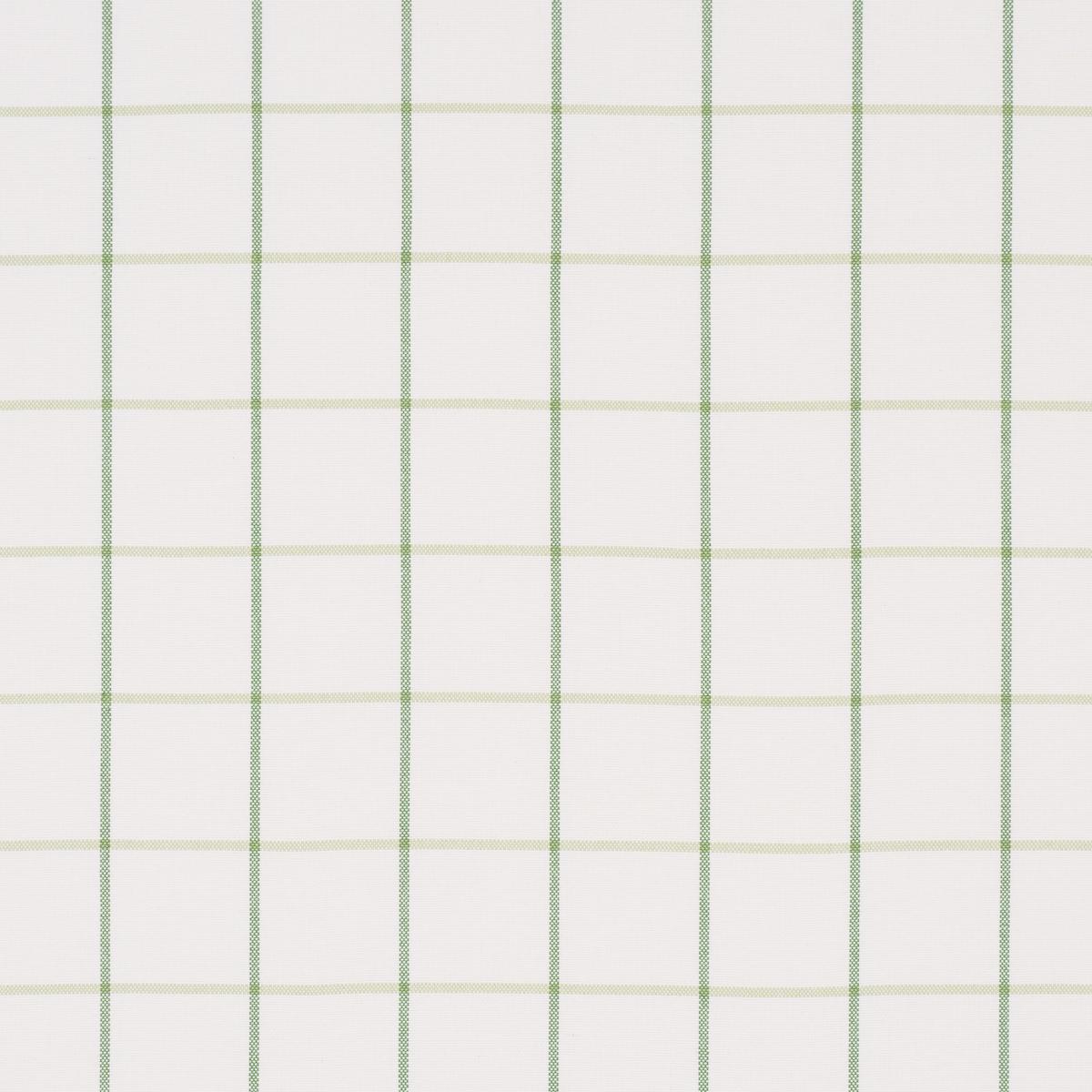 Schumacher Frannie Windowpane Leaf Green Fabric