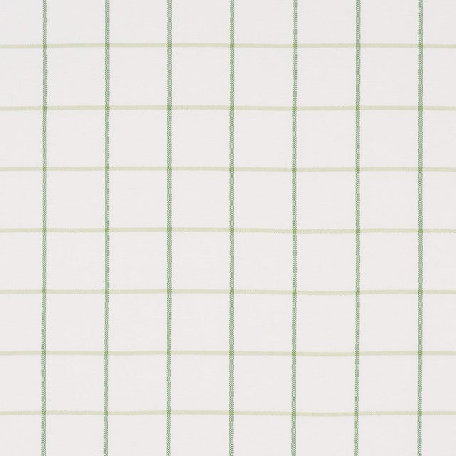 Schumacher Frannie Windowpane Leaf Green Fabric