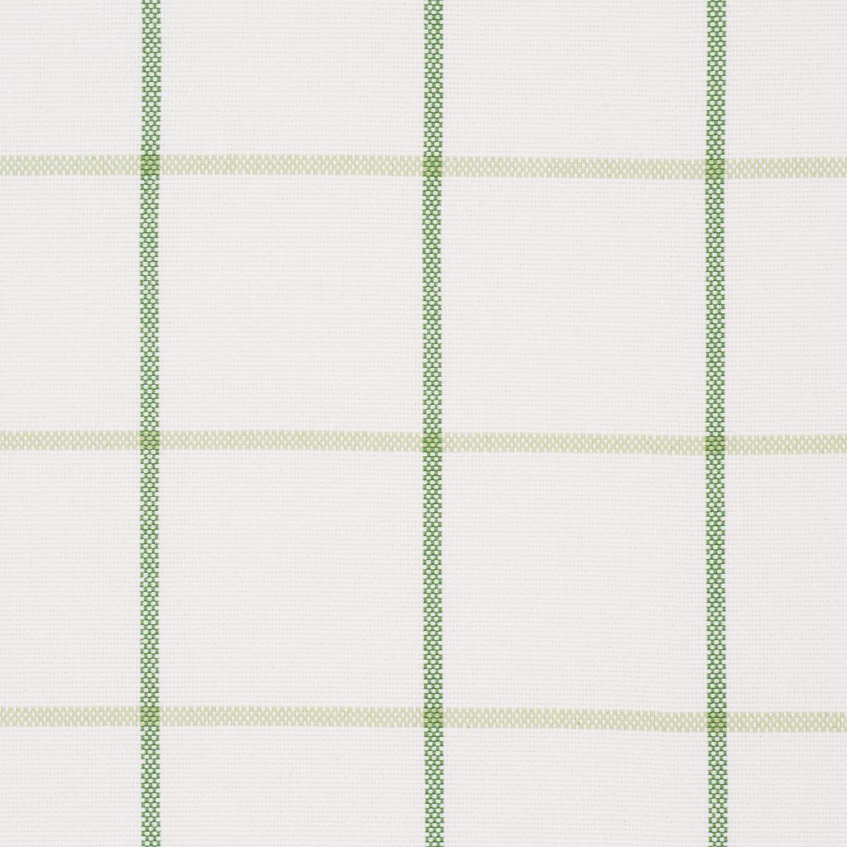 Schumacher Frannie Windowpane Leaf Green Fabric