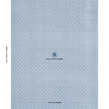 Schumacher Trianon Cut Velvet Azur Fabric