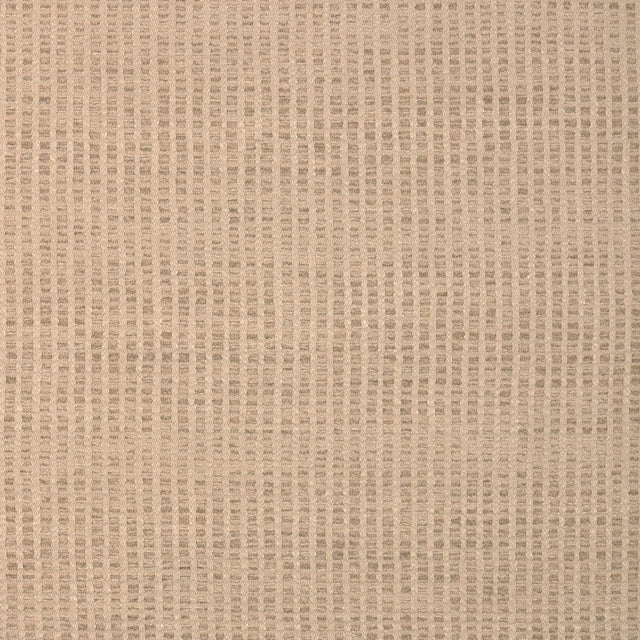 Lee Jofa CODE CANVAS Upholstery Fabric