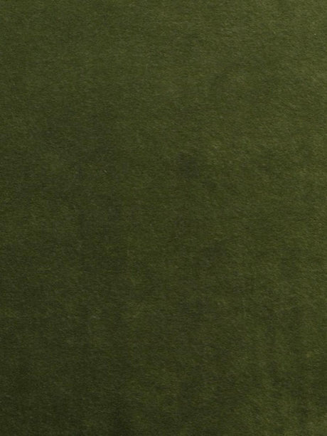 Scalamandre Nabab M1 Khaki Fabric