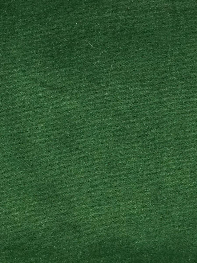 Scalamandre Cosmos Conifere Fabric