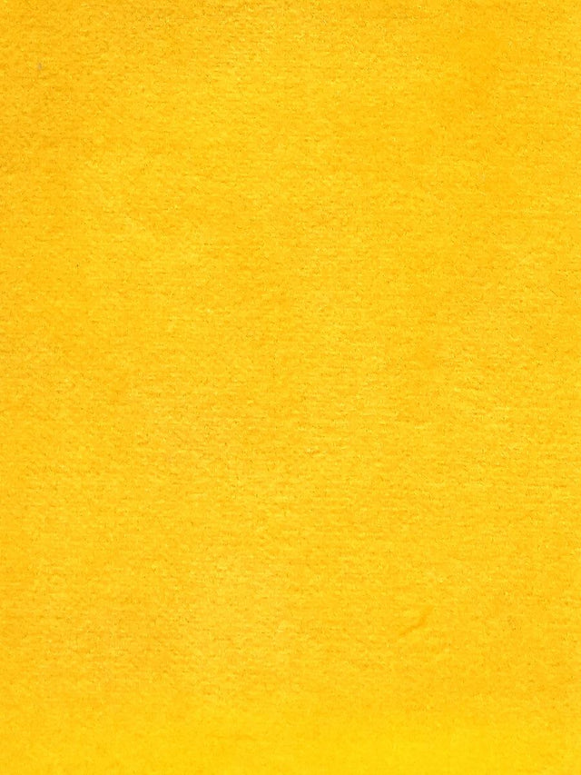 Scalamandre Cosmos Colza Fabric