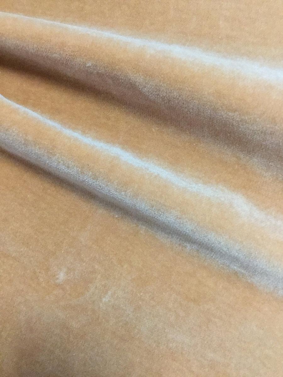 Scalamandre Cosmos Daim Fabric