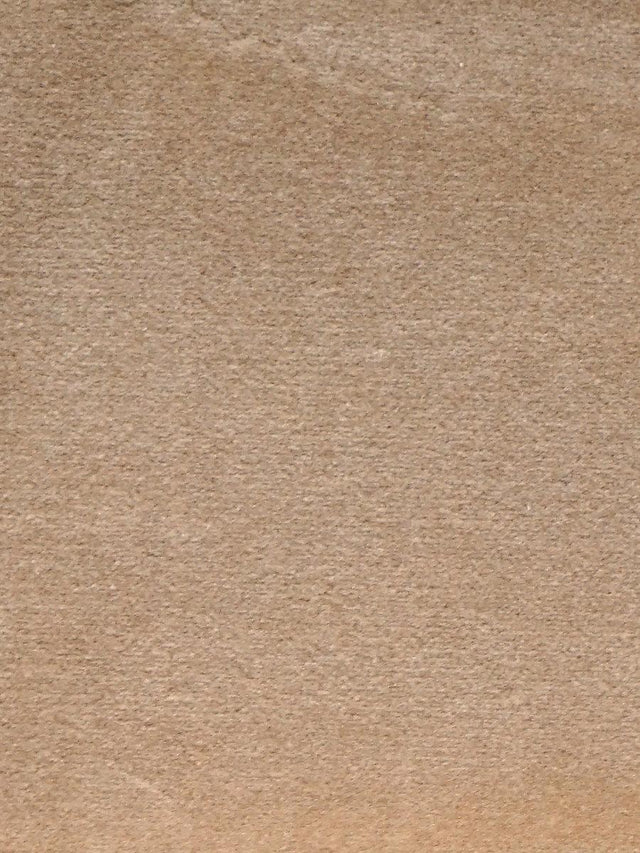 Scalamandre Cosmos Dune Fabric