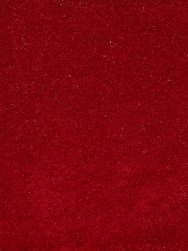 Scalamandre Cosmos Theatre Fabric