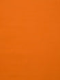 Scalamandre Toucan Kumquat Fabric