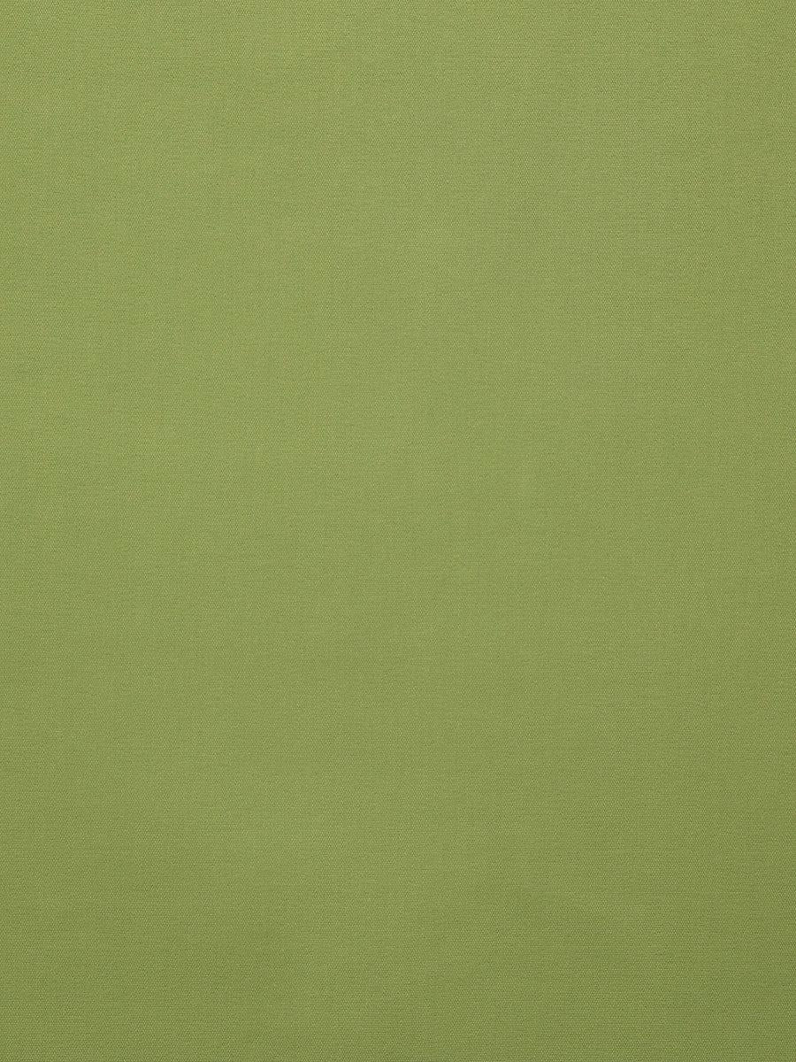 Scalamandre Toucan Lime Fabric