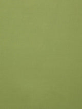 Scalamandre Toucan Lime Fabric