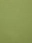Scalamandre Toucan Lime Fabric