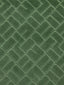 Scalamandre Vallauris Velvet Aloes Fabric