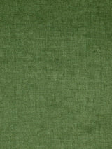 Scalamandre Smart Aloes Fabric