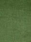 Scalamandre Smart Aloes Fabric