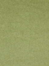 Scalamandre Smart Prairie Fabric