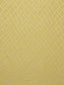 Scalamandre Sillon M1 Ochre Fabric