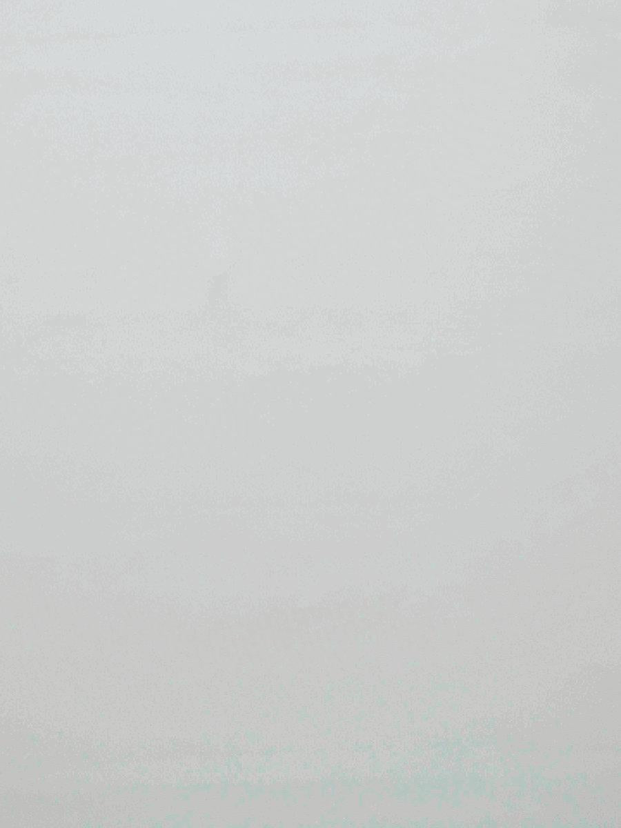 Scalamandre Crepuscule M1 Perle Fabric