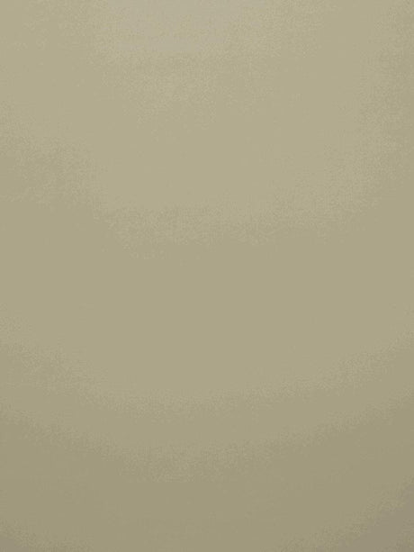 Scalamandre Crepuscule M1 Sable Fabric