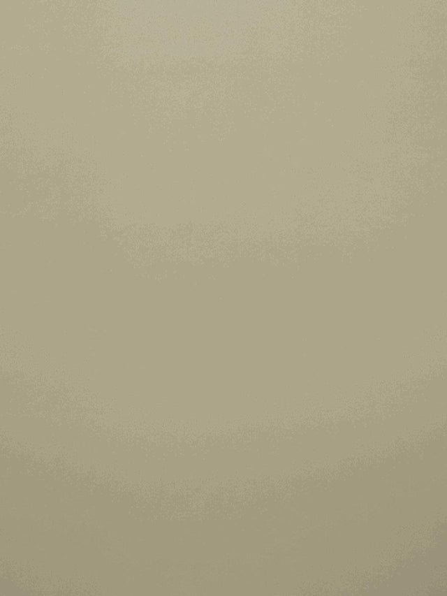 Scalamandre Crepuscule M1 Sable Fabric