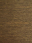 Scalamandre Cocoa M1 Palme Fabric