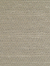 Scalamandre Cocoa M1 Champagne Fabric