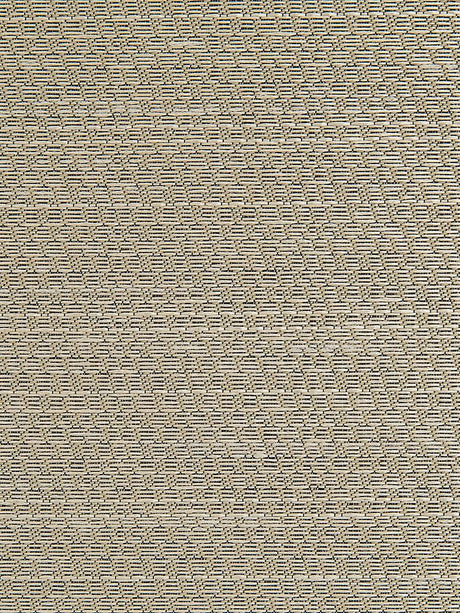Scalamandre Cocoa M1 Champagne Fabric