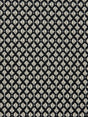 Scalamandre Club M1 Pangare Fabric