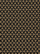 Scalamandre Club M1 Alezan Fabric