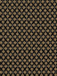 Scalamandre Club M1 Alezan Fabric