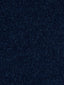 Scalamandre Lago M1 Nuit Fabric