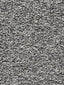 Scalamandre Piazza M1 Pepper Fabric