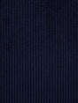 Scalamandre Riga M1 Marine Fabric