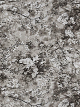 Scalamandre Sakura Tapestry Naturel Fabric
