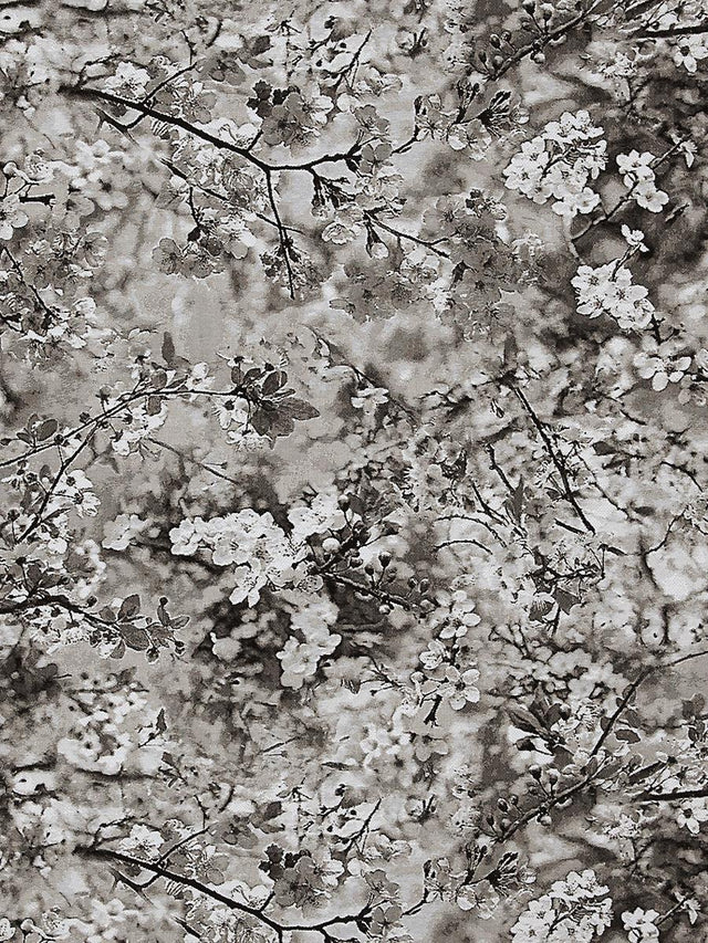 Scalamandre Sakura Tapestry Naturel Fabric