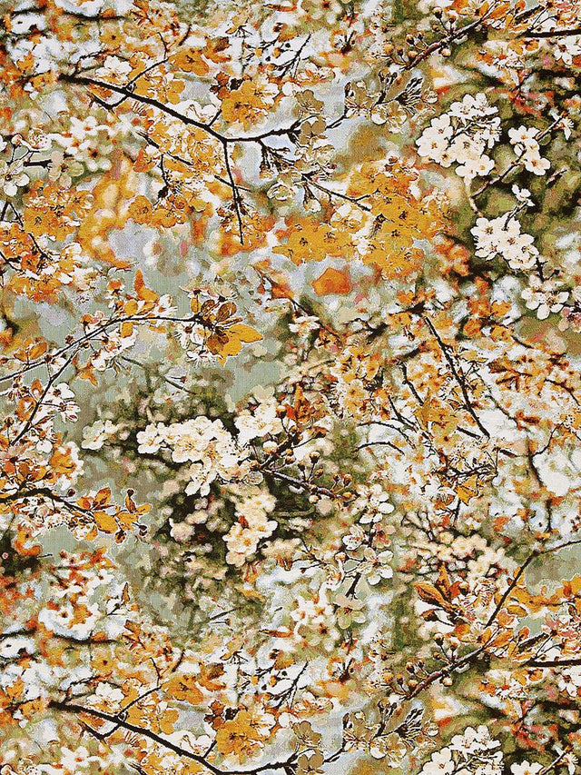 Scalamandre Sakura Tapestry Dore Fabric