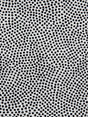 Scalamandre Escale Noir Fabric