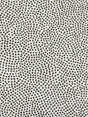 Scalamandre Escale Kaki Fabric