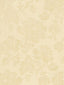 Scalamandre Eloise Champagne Fabric