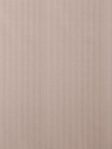 Scalamandre Tailor M1 Poudre Fabric