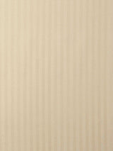 Scalamandre Tailor M1 Ficelle Fabric