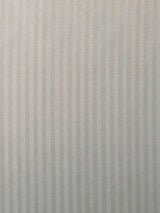 Scalamandre Tailor M1 Argent Fabric
