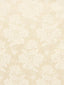Scalamandre Villarceaux Ivoire Fabric