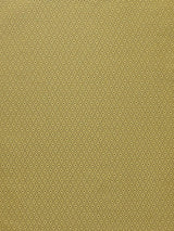 Scalamandre Medaillon Mordore Fabric