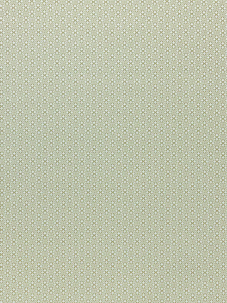Scalamandre Bosquet Celadon Fabric