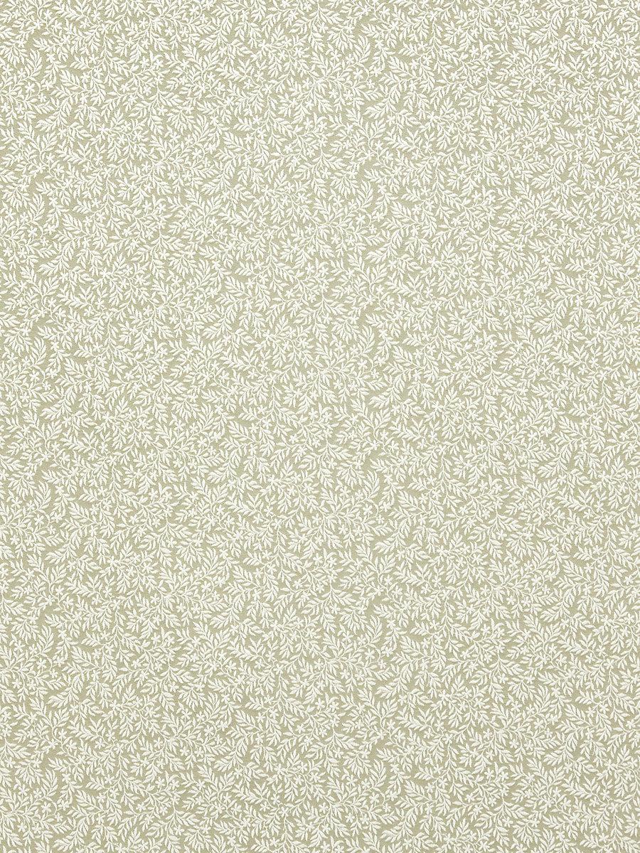 Scalamandre Rameaux Naturel Fabric