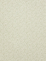 Scalamandre Rameaux Naturel Fabric