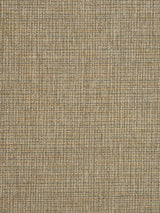 Scalamandre Mangrove M1 Caramel Fabric