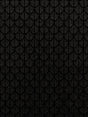 Scalamandre Parure M1 Ebene Fabric